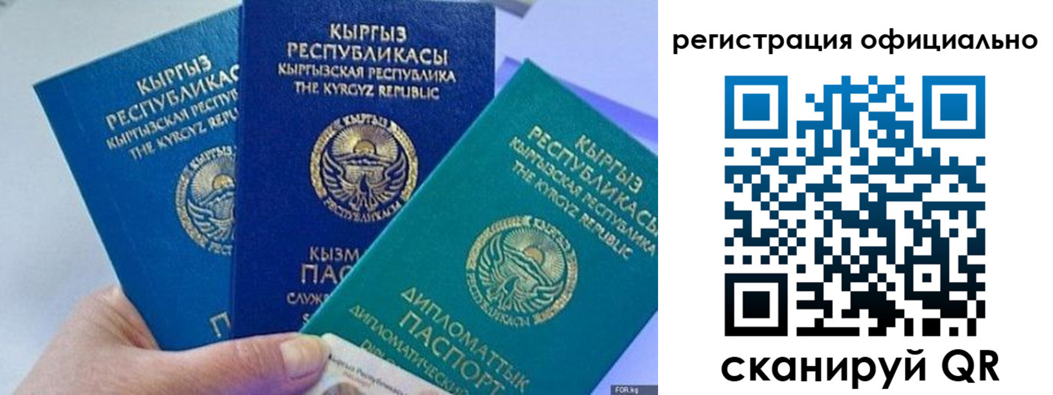 прописка в Обояни